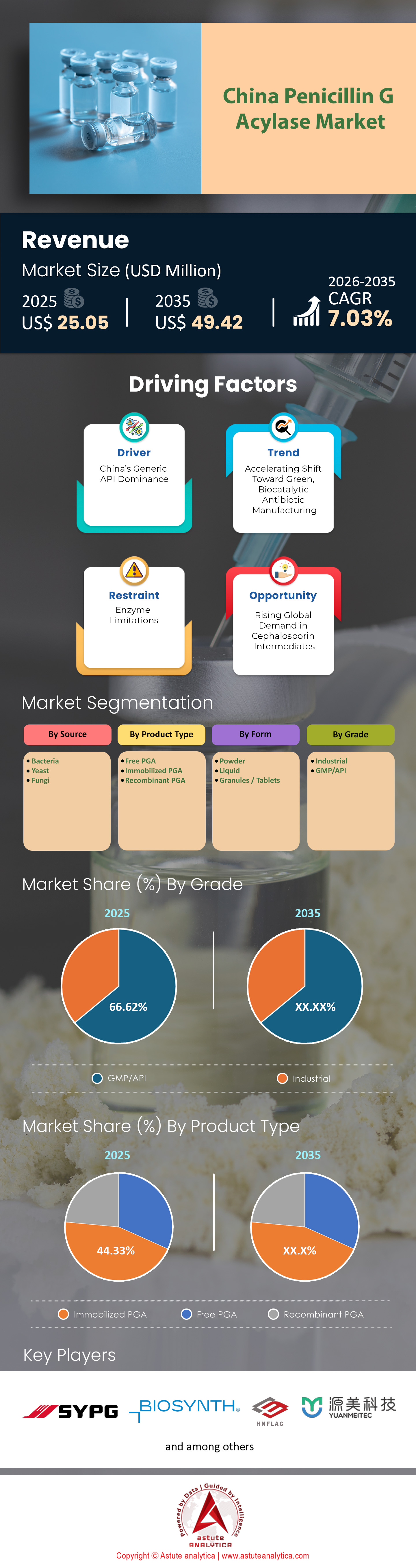 China Penicillin G Acylase Market